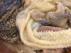 -重庆老火锅王(西安北路店)