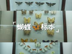 -陕西自然博物馆