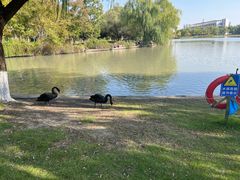 -东华大学(松江校区)