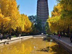 -玲珑塔公园