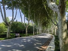-郑州植物园
