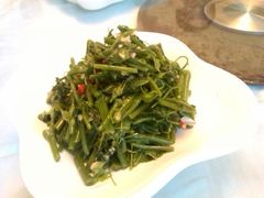 凉拌丝瓜尖-鑫百万烤鸭店(大兴店)