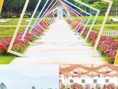 -盈香心动乐园