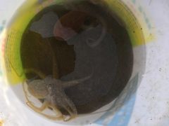 -六鳌翡翠湾滨海度假景区