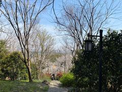 -苏州上方山国家森林公园