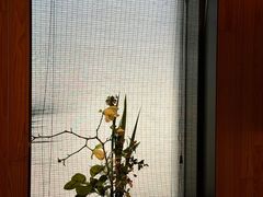 -鹤菊·鮨Omakase(古子城店)