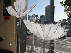 -蜂蝶来饼店(拱北总店)