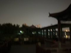 -莲花池公园