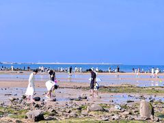 -巧克力渔家.小船海鲜胶东菜(万平口店)