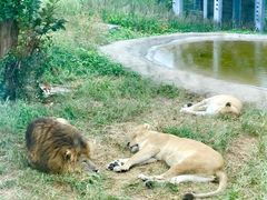 -西安秦岭野生动物园