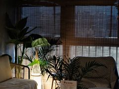 -施奈儿.洗头頭療.按摩SPA.采耳(上梅林店)