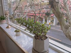 -蝶舍·MAISON PAPILLON