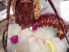 -日进一片海.生腌海鲜火锅.宵夜烧烤(三里屯总店)