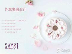 -SAYScake善食感戚风蛋糕(临江大道店)