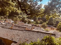 -杨家堂村