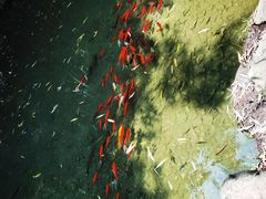 -竹泉村旅游度假区