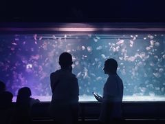 -厦门海底世界