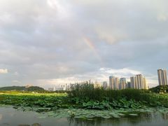 -月湖风景区