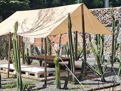 -MOJ coffee(瓯海泽雅水碓坑店)