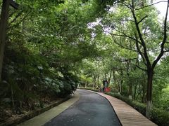 -长谷洞天