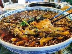 -青城甲(青城山店)