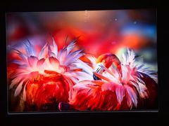 -罗红摄影艺术馆