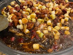 -锦尚阁烤鱼(望京新荟城店)