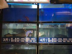 水产区-爱妻鱼•老体北重庆水煮鱼•川菜(白云路店)