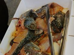 -费明中罗非鱼(大石坝店)
