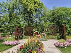 -上海共青森林公园