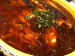 -陈麻婆豆腐总店
