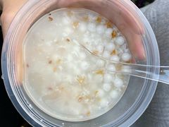 -潘玉麟糖粥