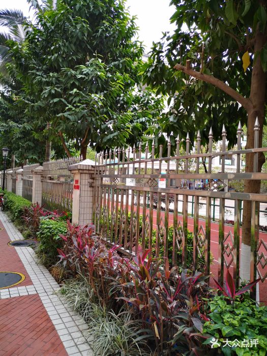 海珠区培红小学图片