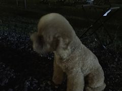 -汤山温泉房车营地 茶温泉