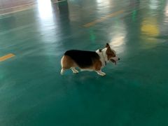 -乐宠宠物店(世纪金源店)