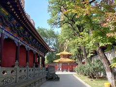 -护国法轮寺