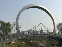 -武清南湖绿博园