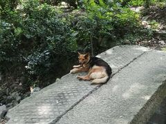 -雨花胜境