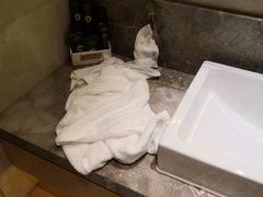-苏州金鸡湖文博诺富特酒店