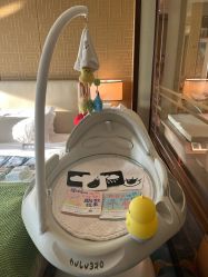 -臻康乃馨月子中心(凯宾斯基店)