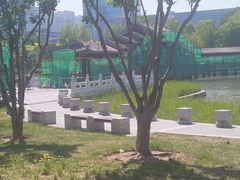 -西海子公园