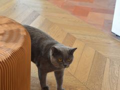 -Me Coffee下午茶艺术空间