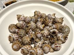 白灼花螺-79号渔船海鲜饭店(宝安店)