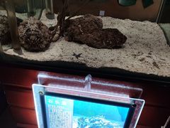 -太平洋海底世界