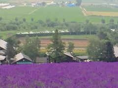 -富田农场