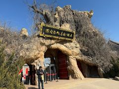 -大槐树寻根祭祖园