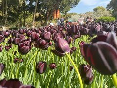 -玄武湖景区-情侣园游乐场