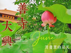 -西安大兴善寺