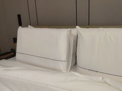 -西安大雁塔科技大学地铁站亚朵酒店