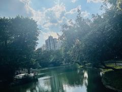 -晓港公园